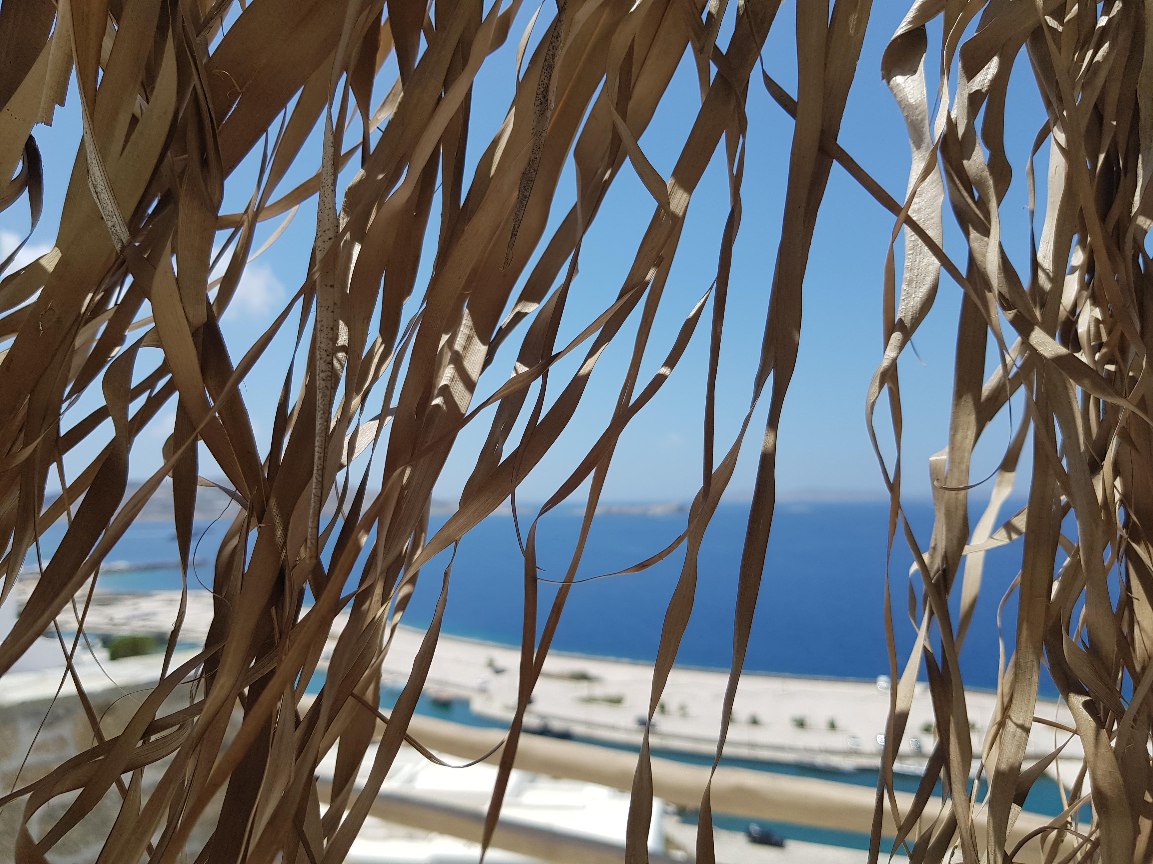 Hotel Gorgona Mykonos Town Exterior foto